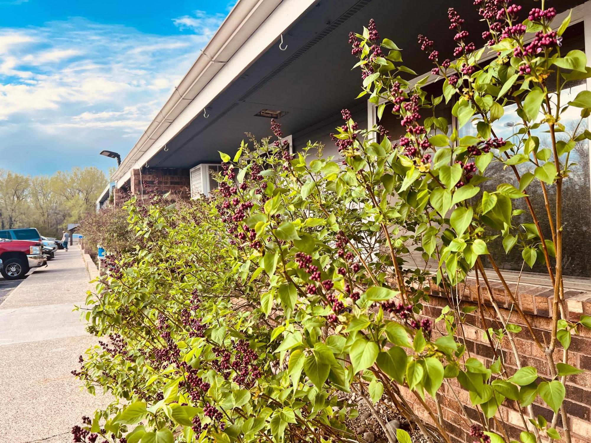 Travelodge By Wyndham Valleyfair Shakopee Ngoại thất bức ảnh
